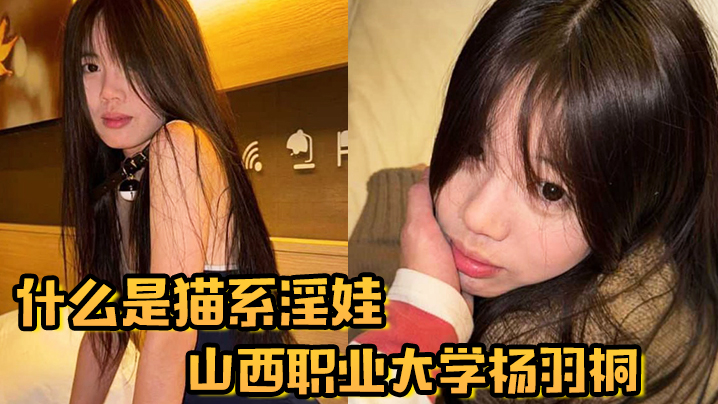 什么是猫系淫娃山西职业大学杨羽桐被曝光在发情期褪去高冷转变为淫娃-免费高清中文AV在线看91Porn_MissAv_Pornhub